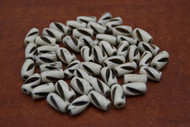 100 Pcs Off White Carved Buffalo Tube Bone Beads 1/2"
