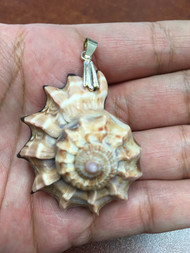 Red Cameo Shell Head Black Back Pendant