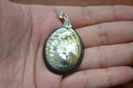 Green Abalone Shell Shell Head Black Back Pendant