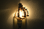 Sliced Black Murex Seahell Shell Nightlight