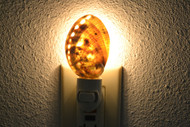 Green Abalone Seashell Nightlight