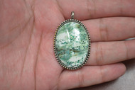 Green Turbo Shell Silver Plated Pendant 2"