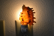 Brown Lambis Seashell Nightlight