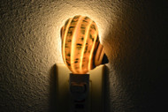 Green Banded Stripe Jade Turbo Shell Seashell Nightlight