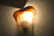Purple Placuna Ephippium Conch Seashell Nightlight
