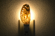 Green Polished Abalone Seashell Nightlight