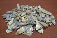 5,000 Pcs Small Mix Abalone Shell Scrape Blank Pieces Material Craft 1lb
