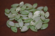 50 Pcs Dyed Green Flat Blank Shell Charms