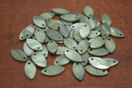 50 Pcs Dyed Gray Flat Blank Shell Charms