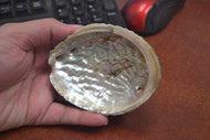 Pink Abalone One Side Polished Shell 3" - 4"