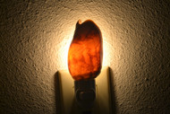 Brown Conus Seashell Nightlight