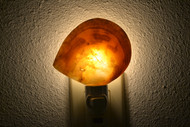 Mother of Pearl Seashell Nightlight