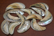 12 Pcs South Africa Sarmaticus Pearl Shell Blank Pendants