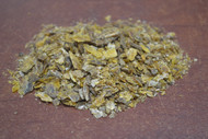 Operculum of the Turbinella Sea Snail Powder Bakhoor Incense