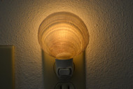 Codackia Tigerena Shell Nightlight