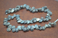 100 Pcs Black Pearl Umbonium Seashell Beads Charms