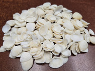 1,000 Pcs Bulk White Cay Cay Sea Shells 1 Lb