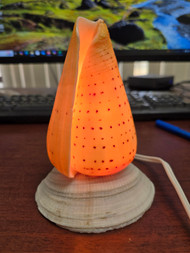 Beech Brown Cone Sea Shell Table Lamp