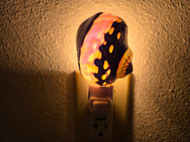South Africa Sarmaticus Shell Nightlight