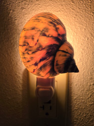 Pearl Green Turbo Shell Nightlight