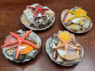 4 Pcs Assort Mix Seashells with Starfish Basket Gift