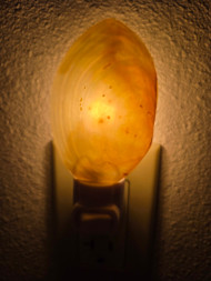 Pearl Oyster Clam Seashell Nightlight