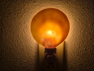 Round Pearl Golden Shell Nightlight