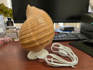 Gaint Tonna Galea Sea Shell Table Lamp