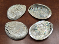 4 Pcs Polished Midae Abalone Shell 3" - 4"