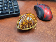 TigerCowrie Shell Trinket Box