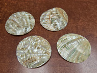 4 Pcs Round Abalone Shell Blank Disc Coin 60mm