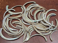 100 Pcs Assort Midae Abalone Shell Tusk Pendants