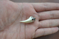 Macro Center Shark Teeth Silver Cap Pendant