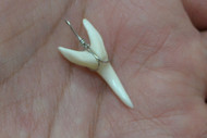 White Shark Teeth Silver Plated Wrapped Pendant