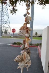 Assort Mix Seashell Wired Garden Wall Hanger 26"