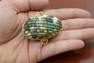 Green Cowrie Shell Trinket Box