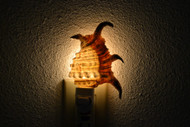 Lambis Rugosa Spider Conch Shell Nightlight
