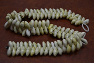 100 Pcs Small Yellow Moneta Cowrie Shell Beads