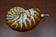 Striped Mother of Pearl Nautilus Shell Pendant