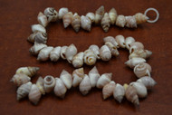 100 Pcs Small Orange Frog Seashell Beads Strand