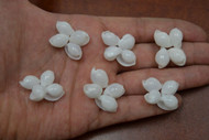 White Mango Shell Rosettes Flower Rings