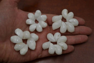 Bubble White Shell Rosettes Flower Rings