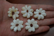 White & Orange Moon Shell Rosettes Flower Rings