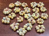 Yellow Nerita Shell Rosettes Flower Rings