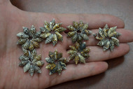 Black & Brown Nassa Shell Rosettes Flower Rings