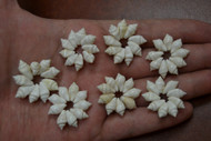 White Nassa Shell Rosettes Flower Rings