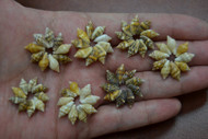 Brown & White Nassa Shell Rosettes Flower Rings