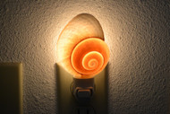 Brown Landsnail Seashell Nightlight