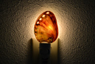 Polished Red Abalone Seashell Nightlight