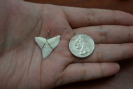 White Bull Shark Teeth Tooth Wire Wrapped Pendant